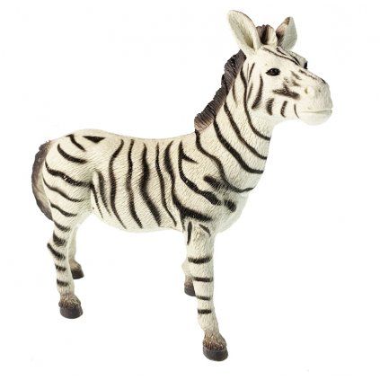 zebra1