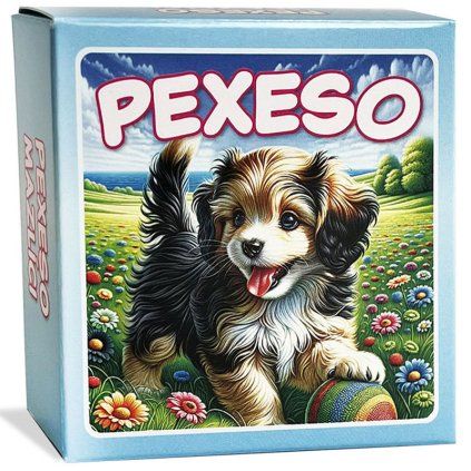 pexeso2