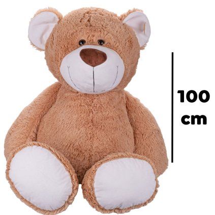 medved10