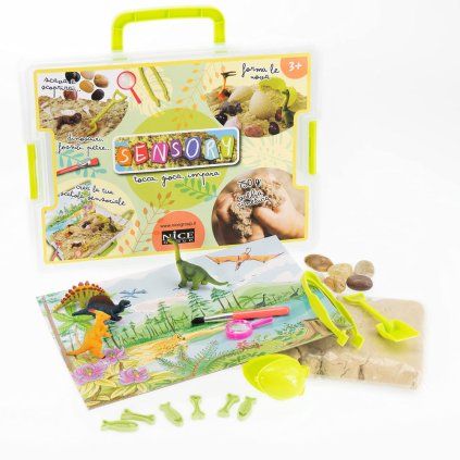 sensory dino 1
