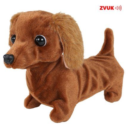 jezevčík1