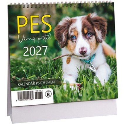 Stolní kalendář mini Pes - věrný přítel 2027 (2581-00833)