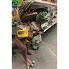 trex2