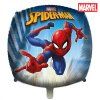 spiderman 1