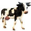 kráva1