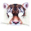 tygr 1