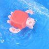 želva 8