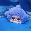 baby three romantic ocean 11