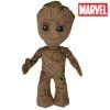 groot1