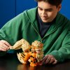 lego 72160 arcanine 5