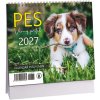 Stolní kalendář mini Pes - věrný přítel 2027 (2581-00833)
